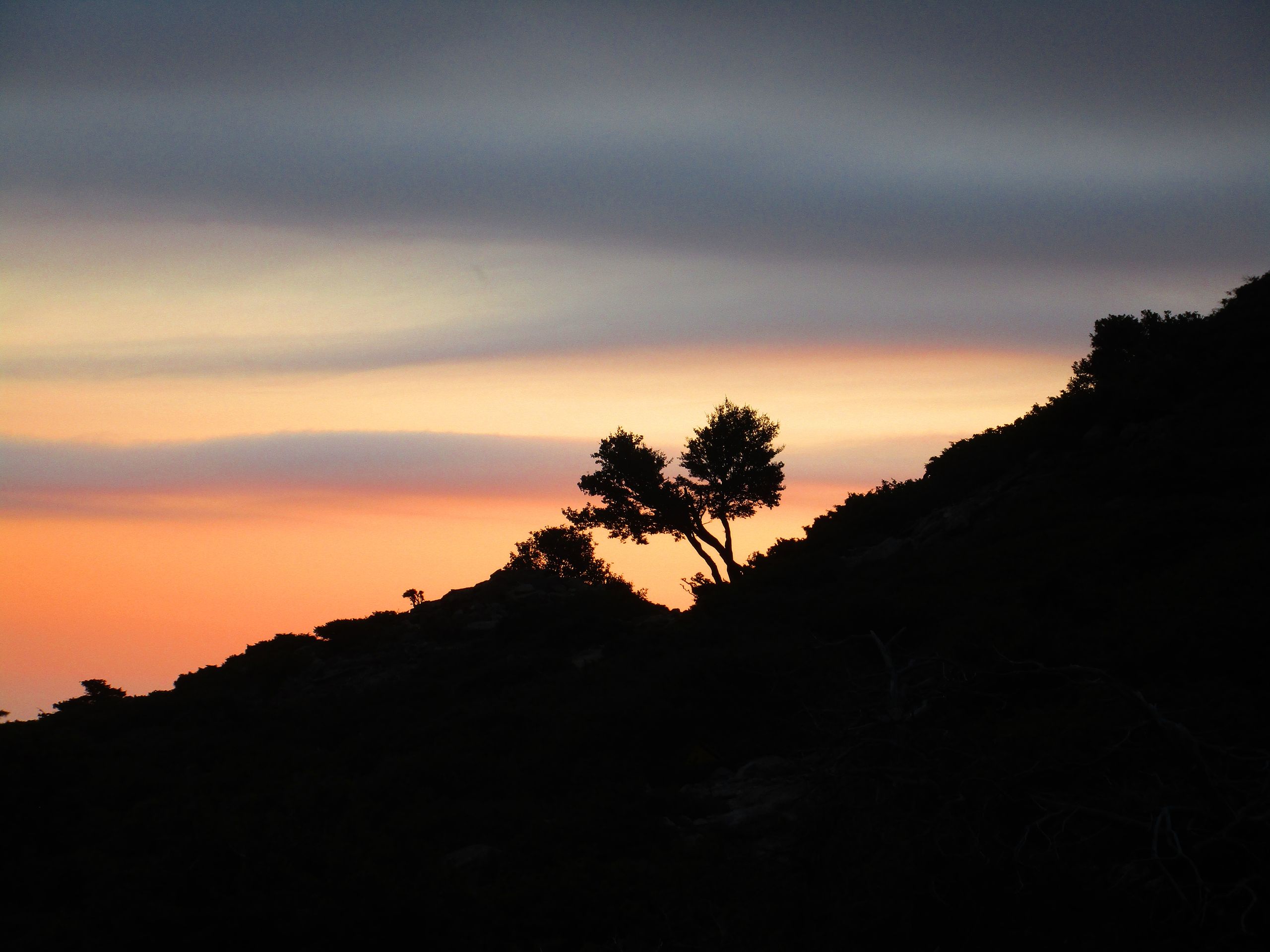 Sunrise against a lone tree on Samothraki, Greece